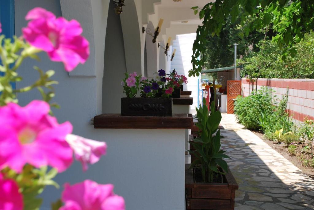 Myra Hotel Dalyan Exterior foto